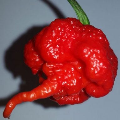 Extreme Hot Pepper Combo
