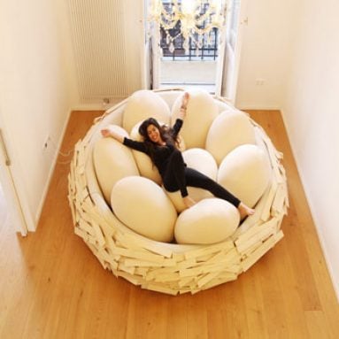 Giant Bird Nest Bed