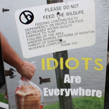 Idiots Are Everywhere