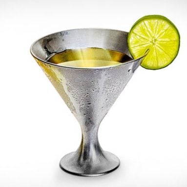 Indestructible Martini Glass