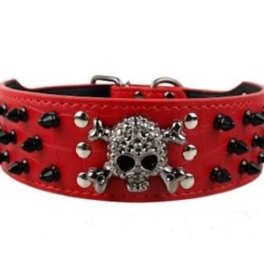 Leather Spiked Dog Collars