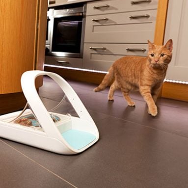 Microchip Smart Pet Feeder
