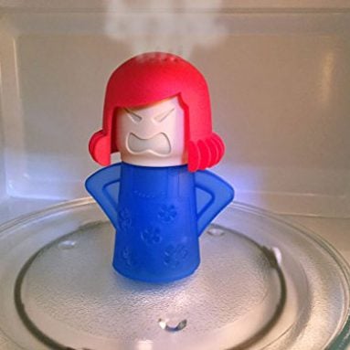 Microwave Steam Cleaner