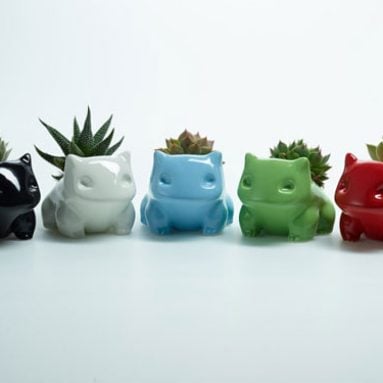 Mini Monster Succulent Pots