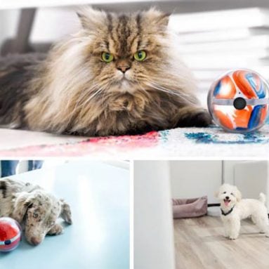 Pebby Smart Ball For Pets