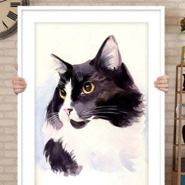 Personalized Custom Cat Portraits