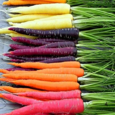 Rainbow Carrots