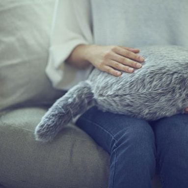 Robotic Pet Pillow