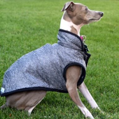 Stylish Custom Dog Clothes