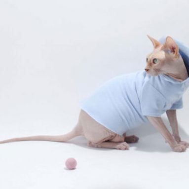 Sun Protection Cat Hoodies