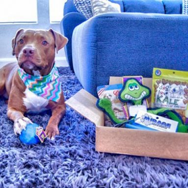 Surprise My Pet Subscription Box