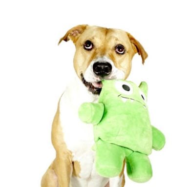 Tearribles: Indestructible Dog Toy