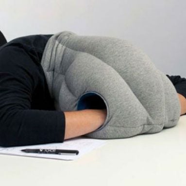 The Ostrich Napping Pillow