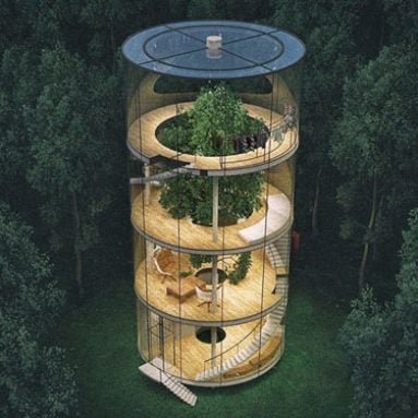 Tubular Glass Tree House