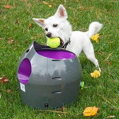 Automatic Ball Launcher