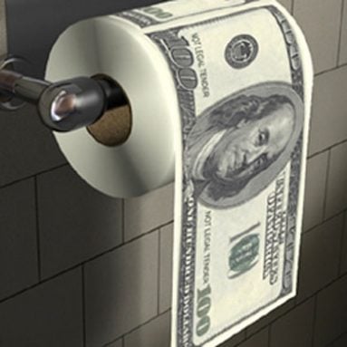 Money Toilet Paper Roll