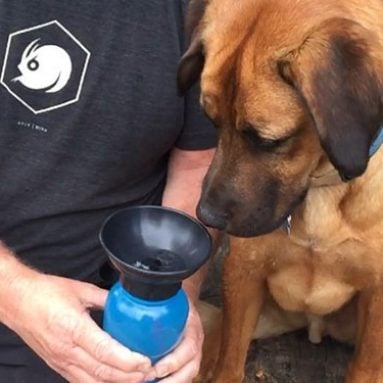 Water Bottle For Dogs
